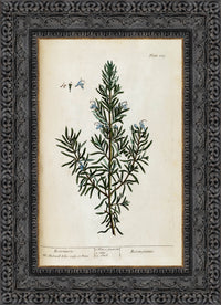 Dark Bronze frame