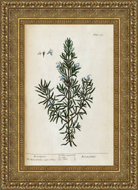 Gold frame