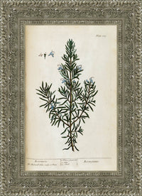 Silver frame