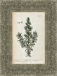Silver frame
