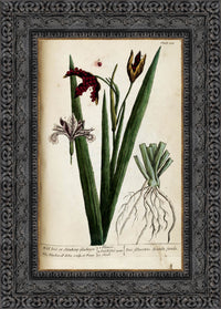 Dark Bronze frame