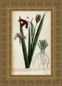 Gold frame