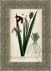 Silver frame