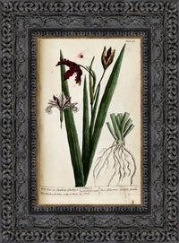Dark Bronze frame