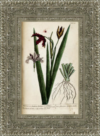 Silver frame