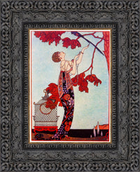 Dark Bronze frame