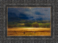 Dark Bronze frame
