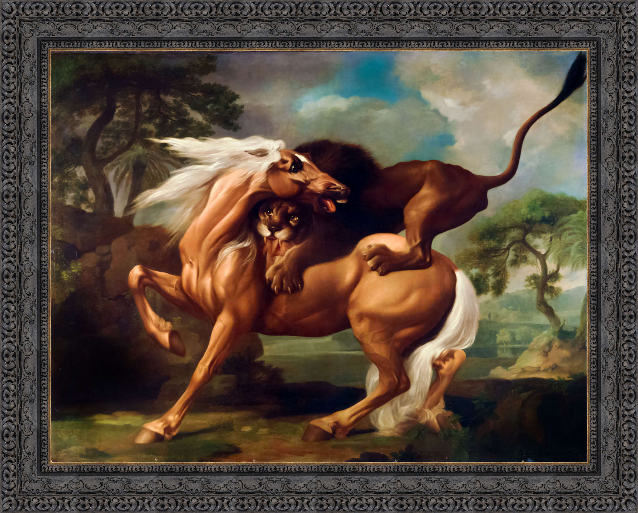 A Lion Attacking A Horse by George Stubbs — Framed Giclee Canvas Print | Canvas Classics