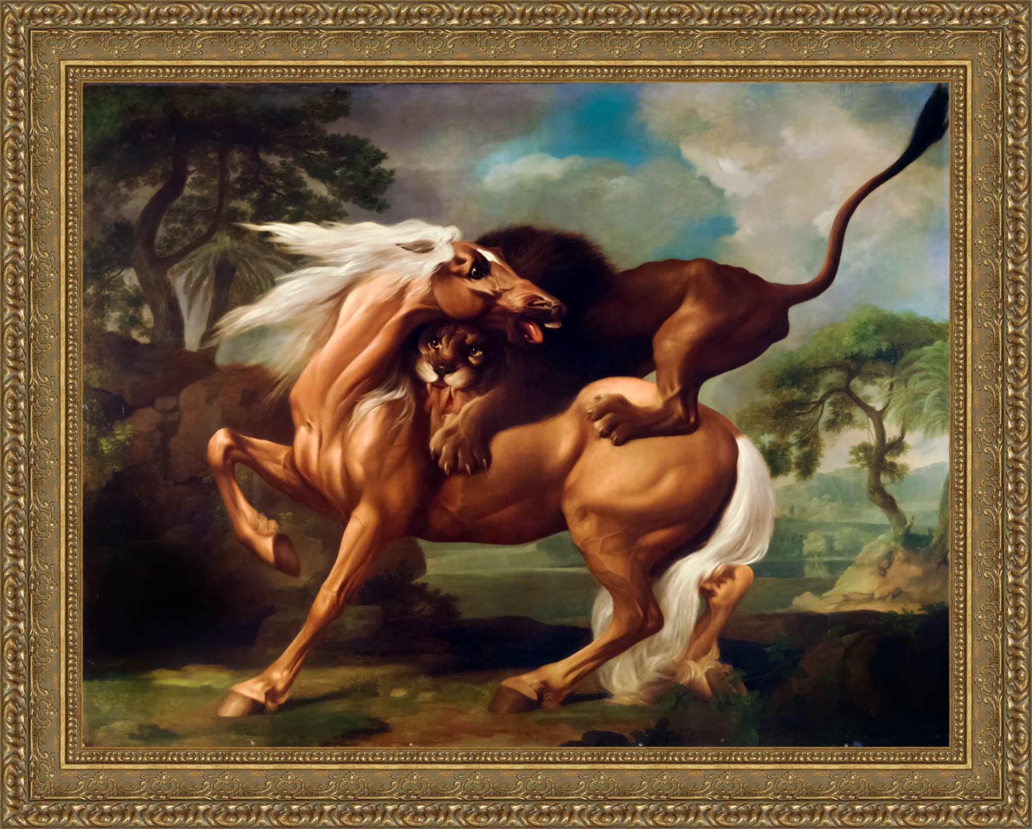 A Lion Attacking A Horse by George Stubbs — Framed Giclee Canvas Print | Canvas Classics