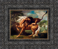 Dark Bronze frame