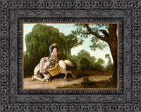 Dark Bronze frame