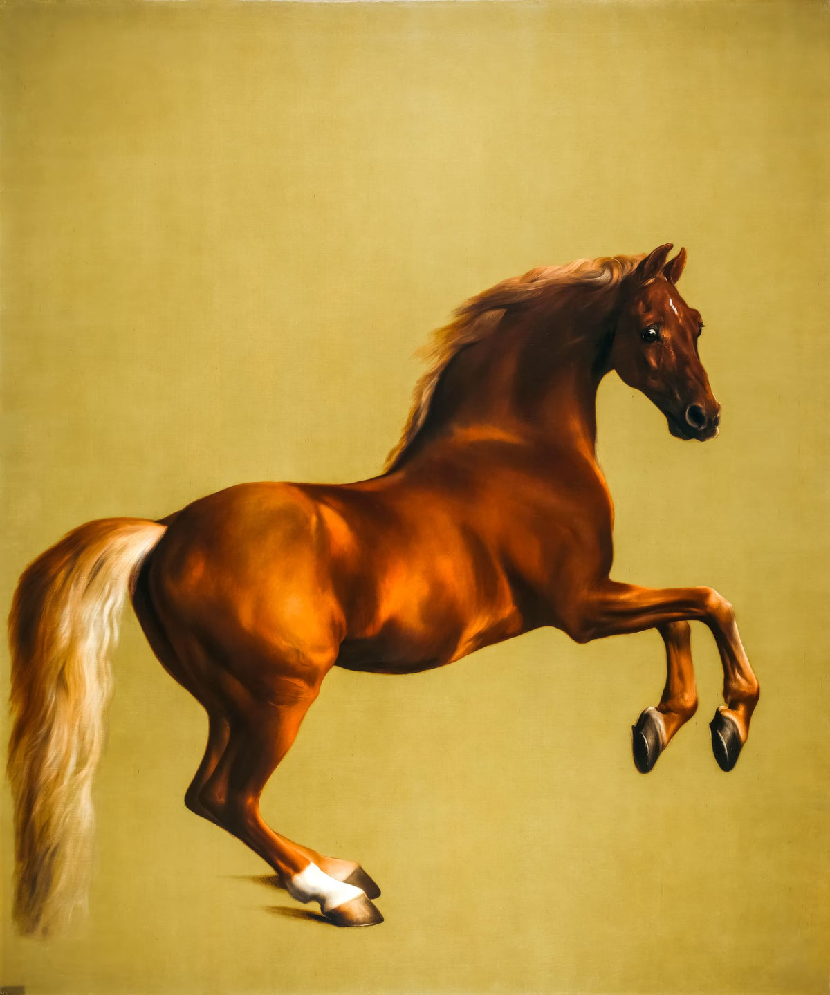 Whistlejacket – George Stubbs, 1762, framed