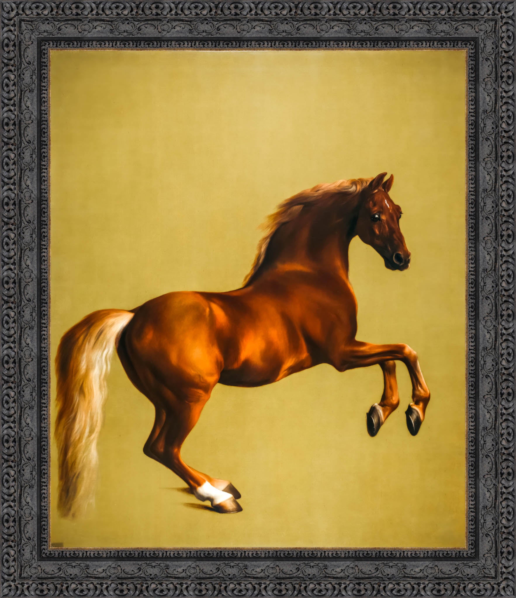 Whistlejacket – George Stubbs, 1762 - Canvas Classics