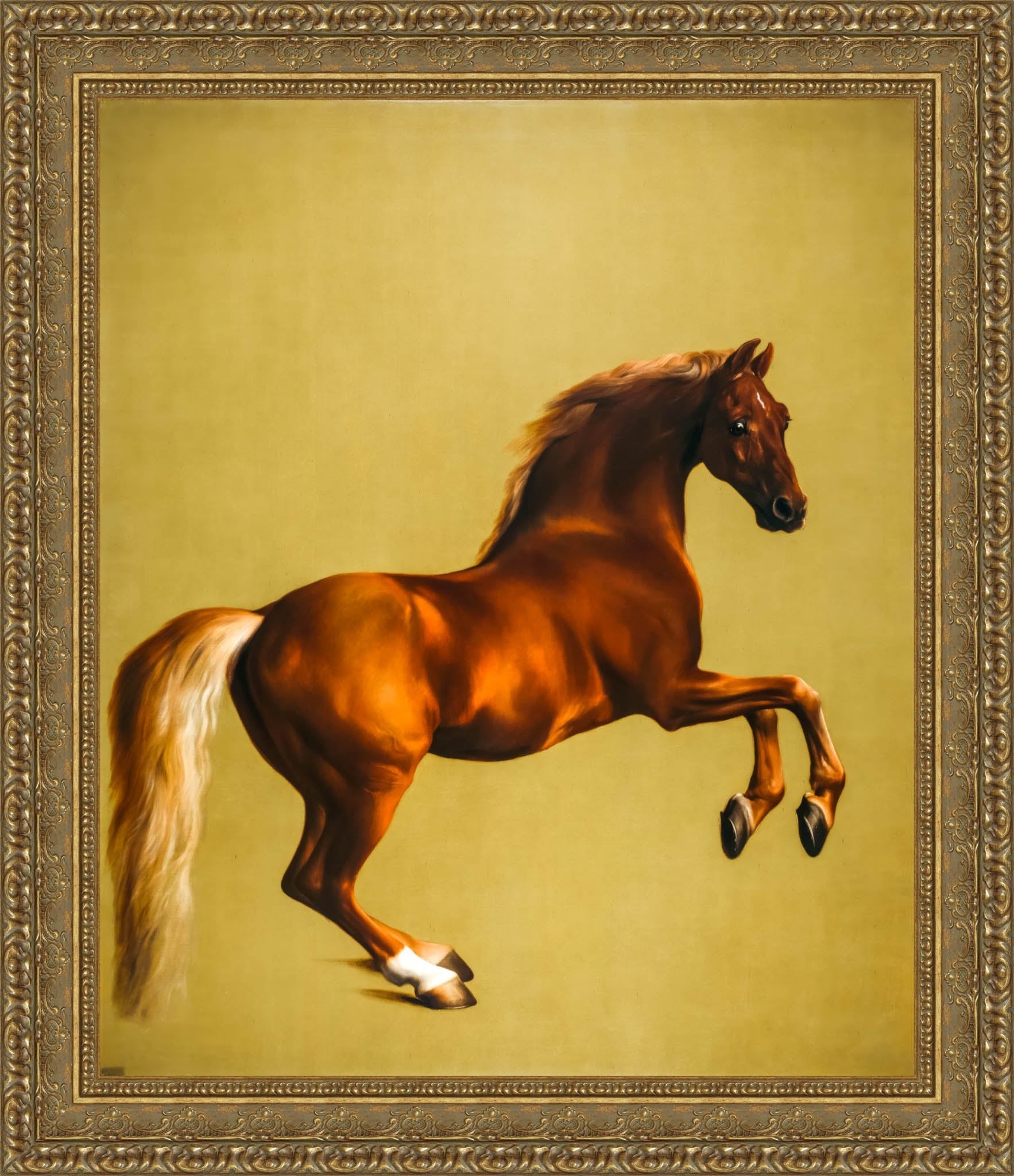 Whistlejacket – George Stubbs, 1762 - Canvas Classics
