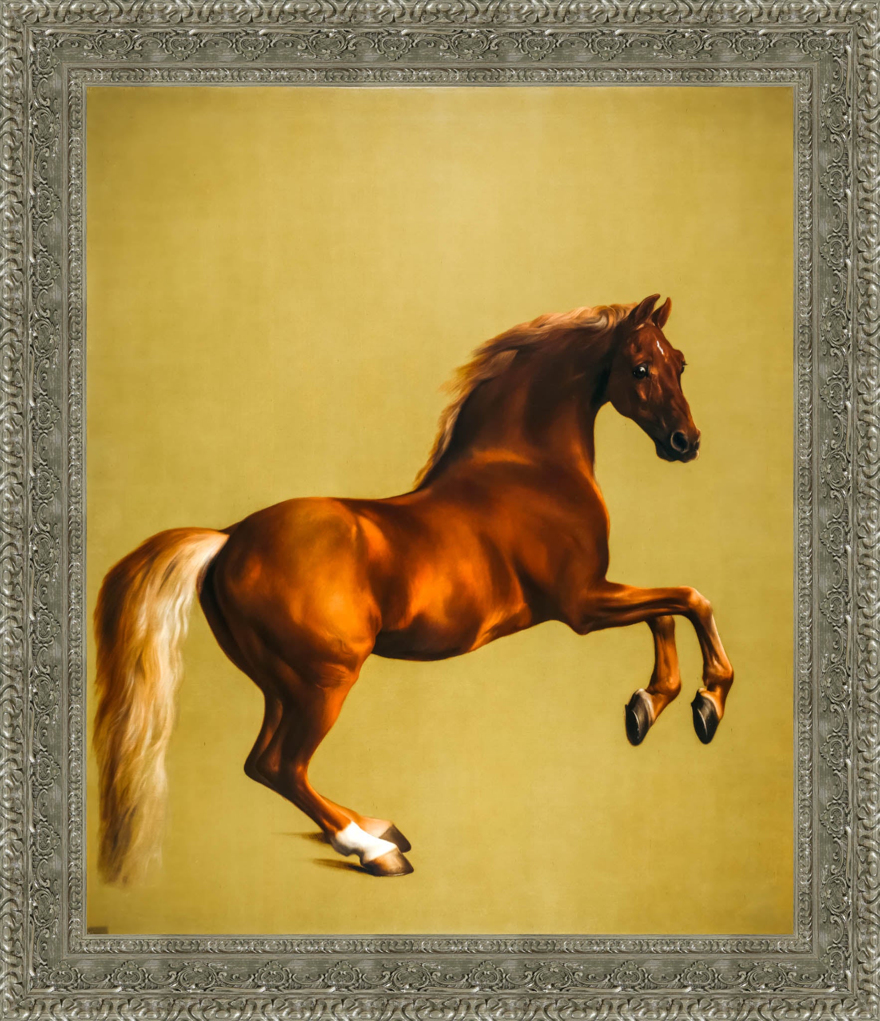 Whistlejacket – George Stubbs, 1762 - Canvas Classics