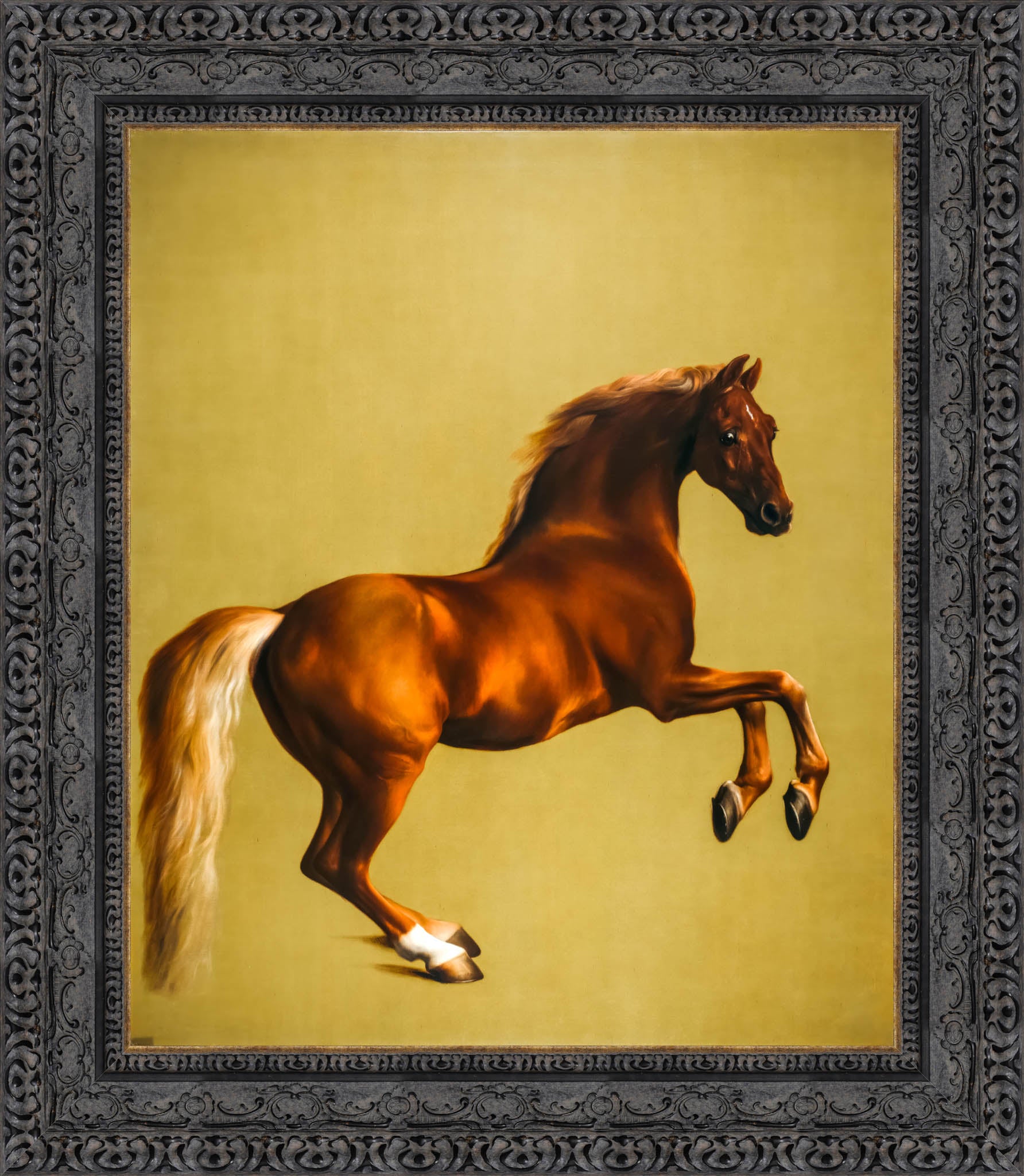 Whistlejacket – George Stubbs, 1762 - Canvas Classics