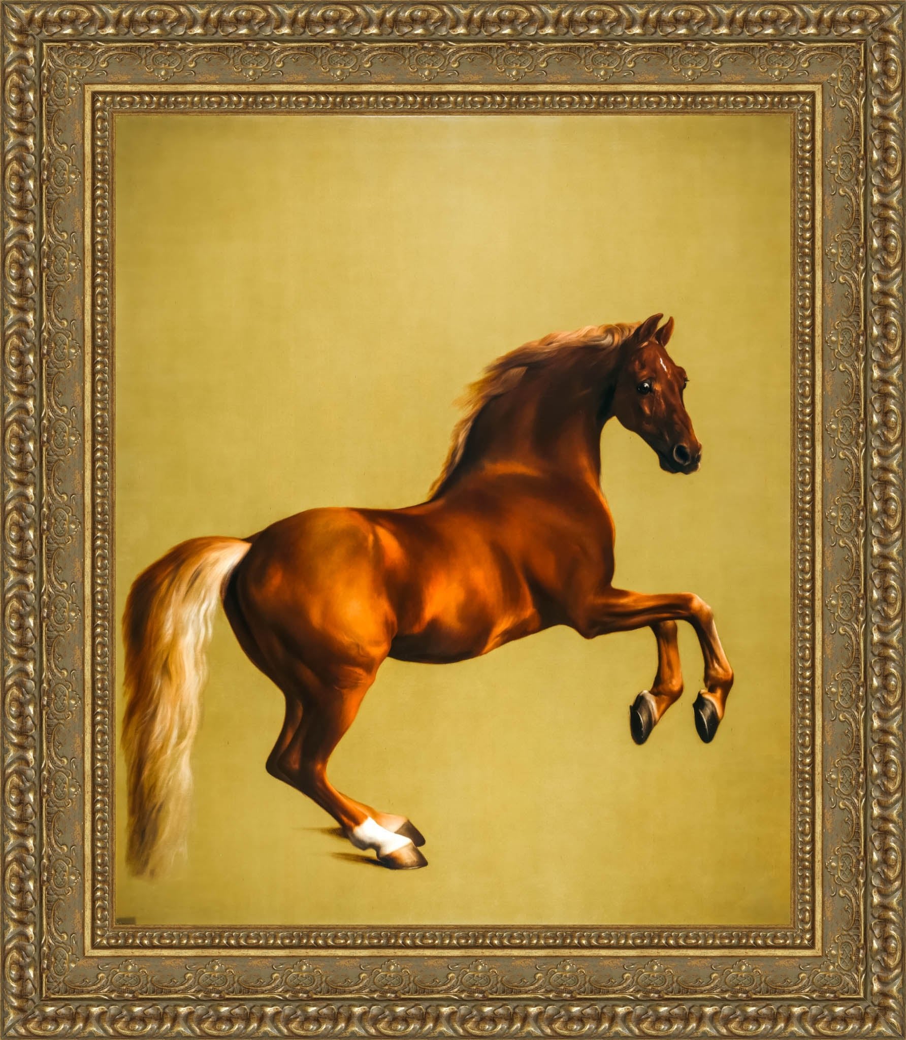 Whistlejacket – George Stubbs, 1762 - Canvas Classics