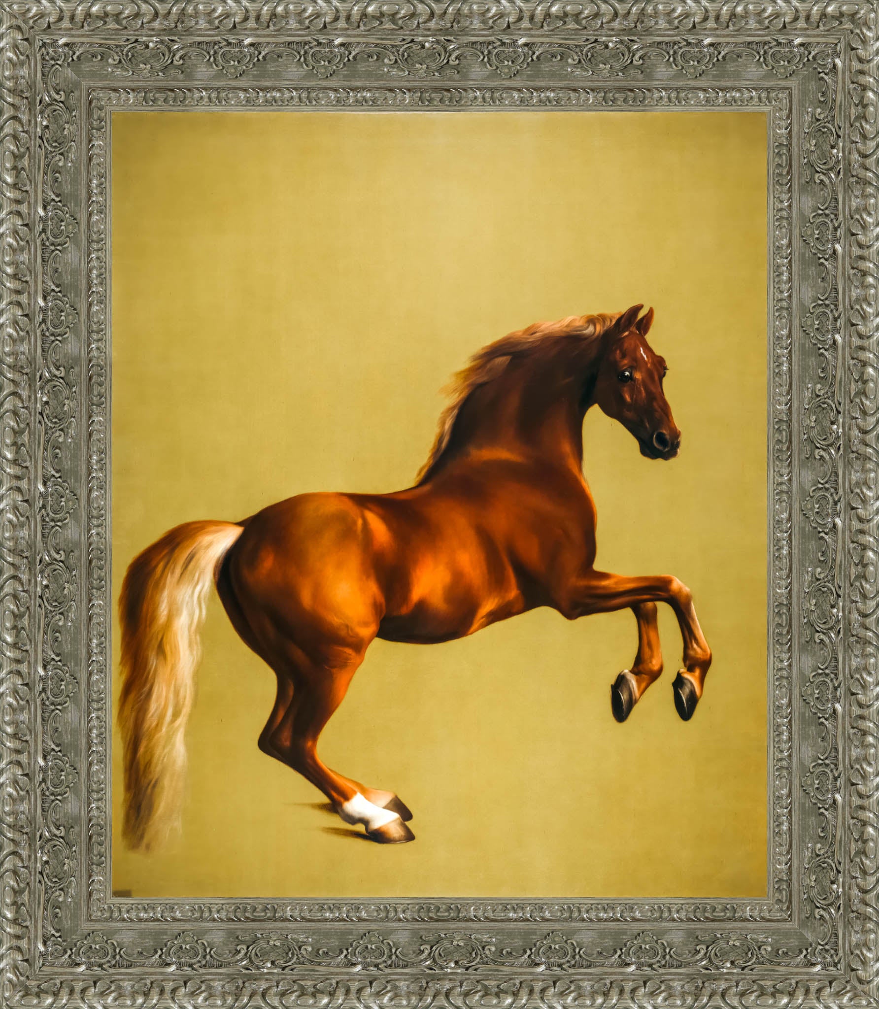 Whistlejacket – George Stubbs, 1762 - Canvas Classics