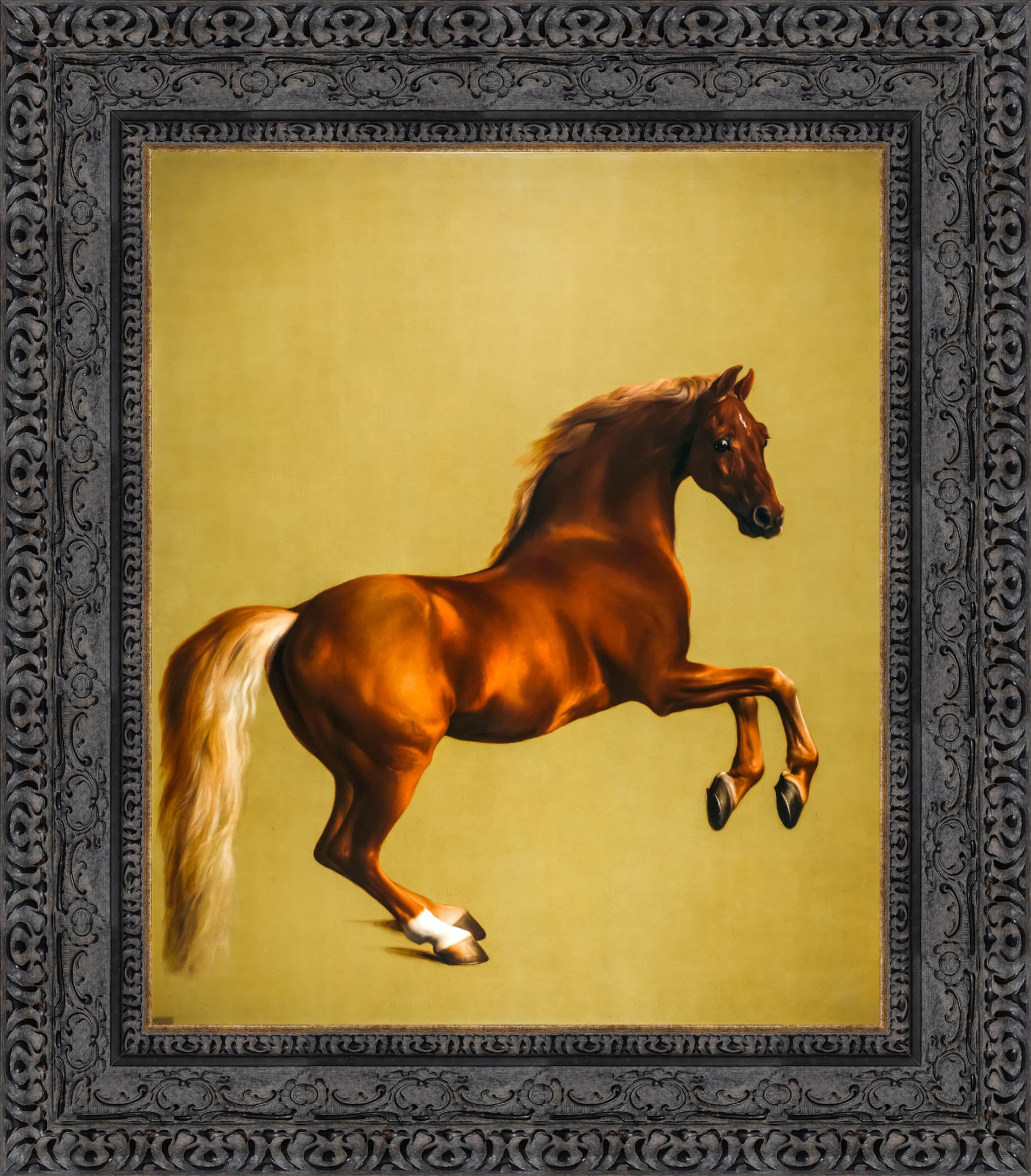 Whistlejacket – George Stubbs, 1762 - Canvas Classics