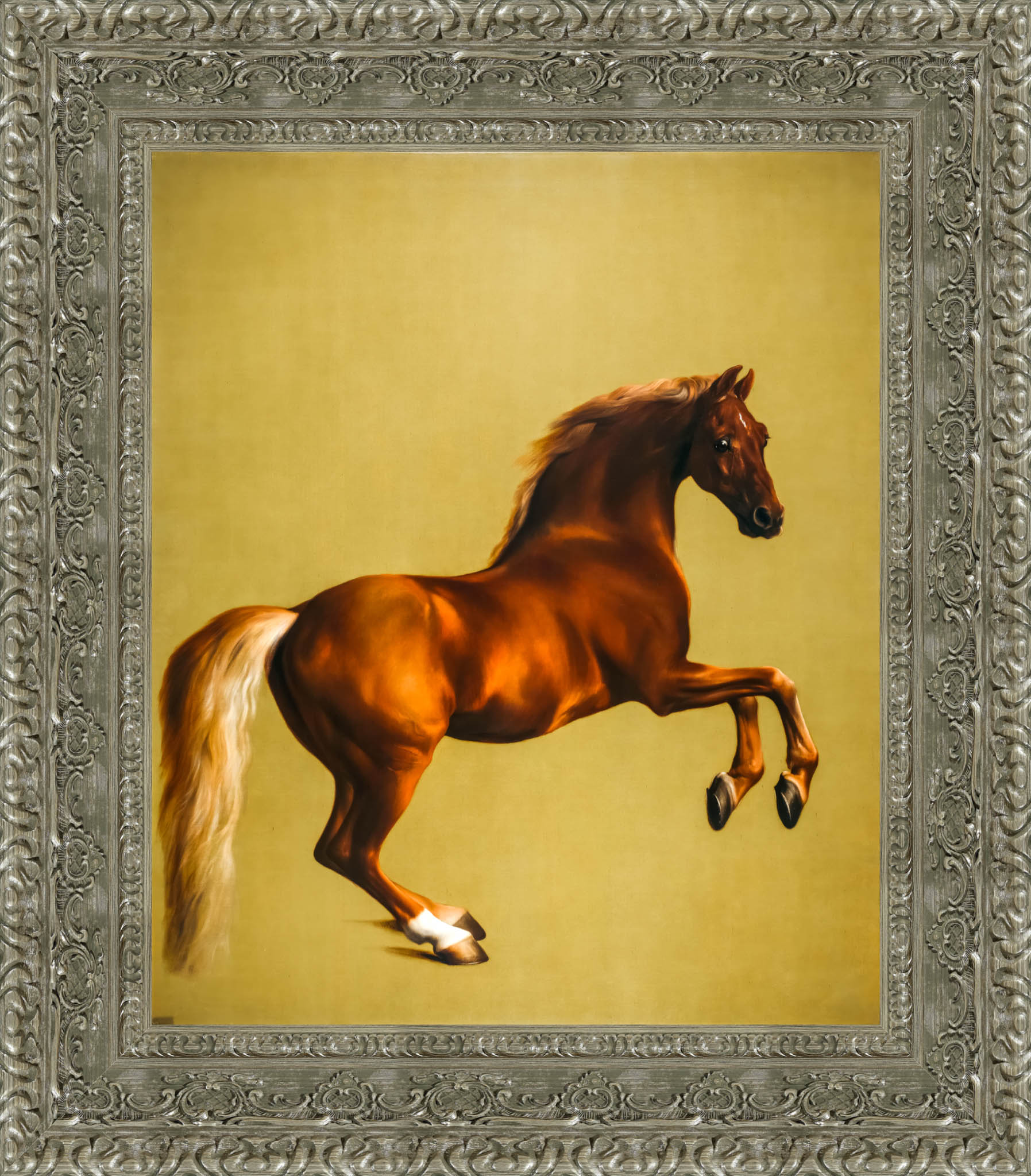 Whistlejacket – George Stubbs, 1762 - Canvas Classics