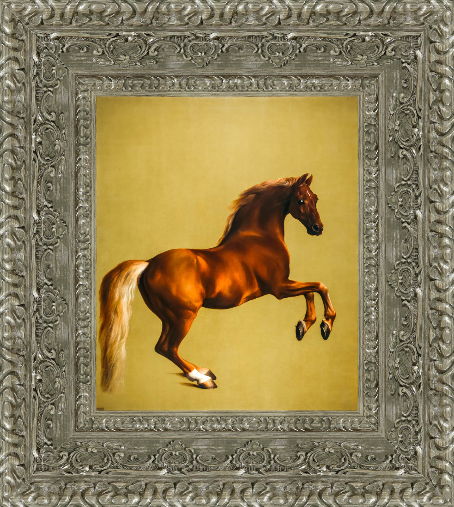 Whistlejacket – George Stubbs, 1762 - Canvas Classics