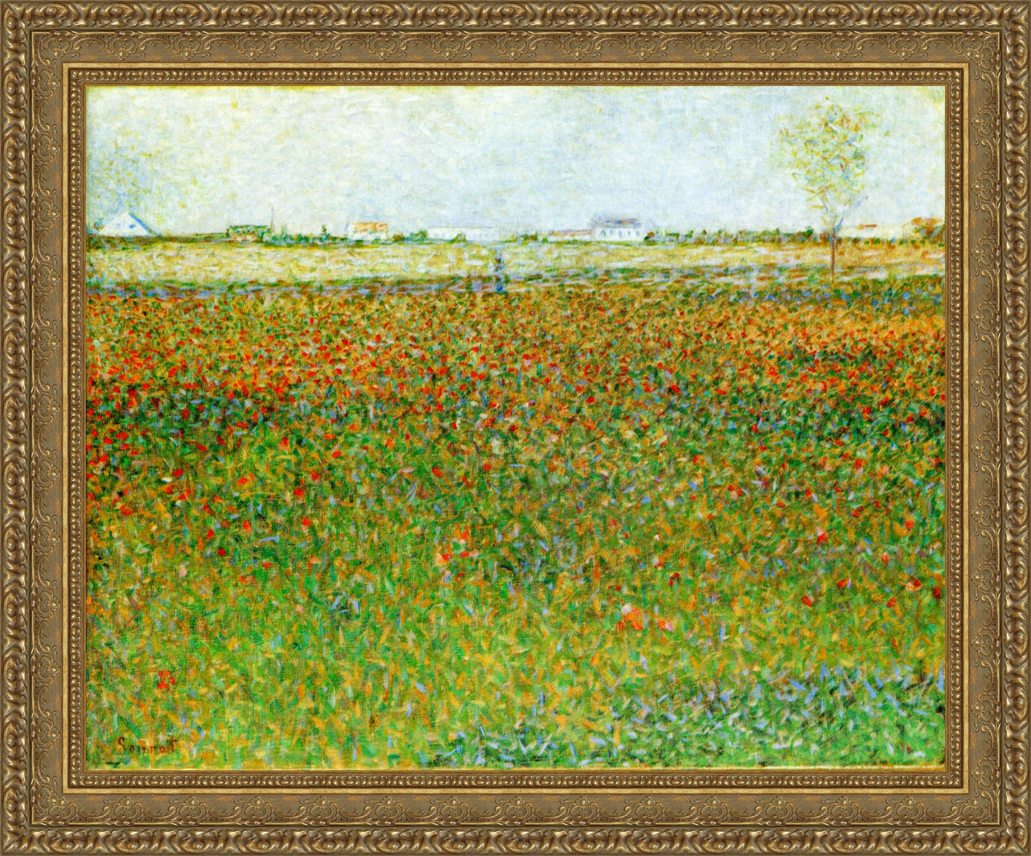 Field of Poppies