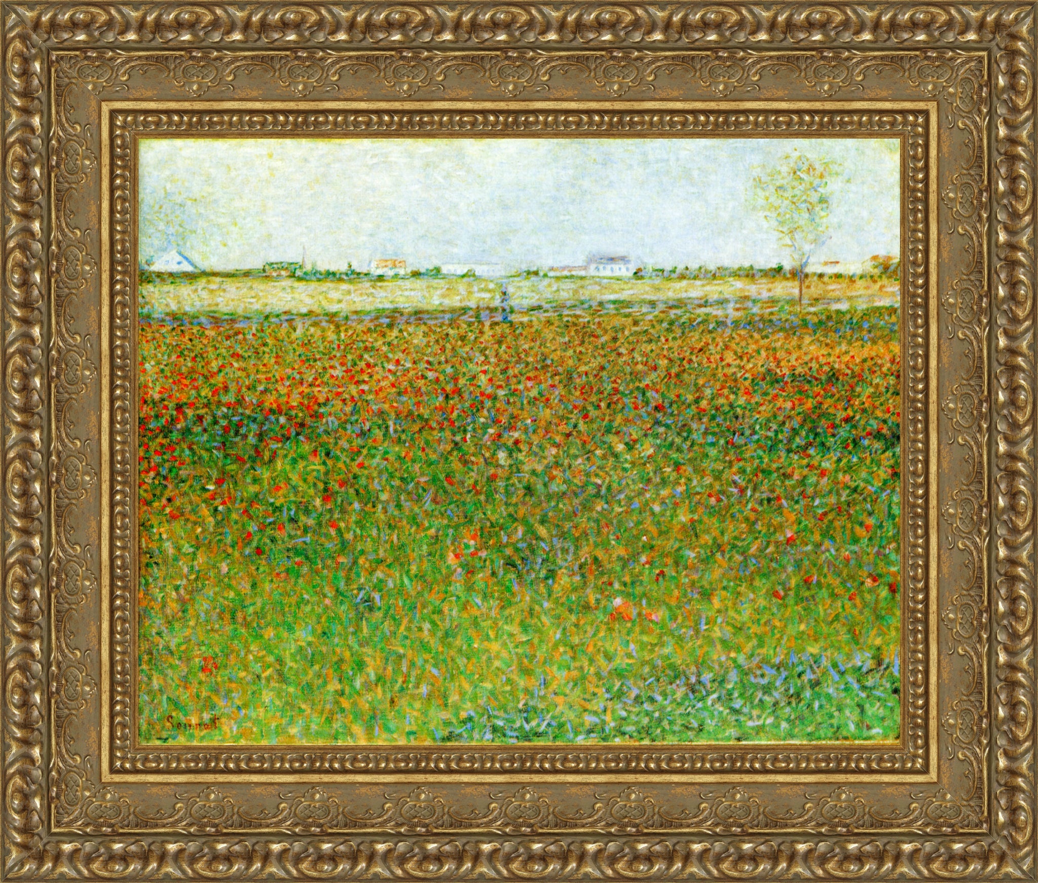 Field of Poppies
