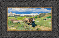 Dark Bronze frame