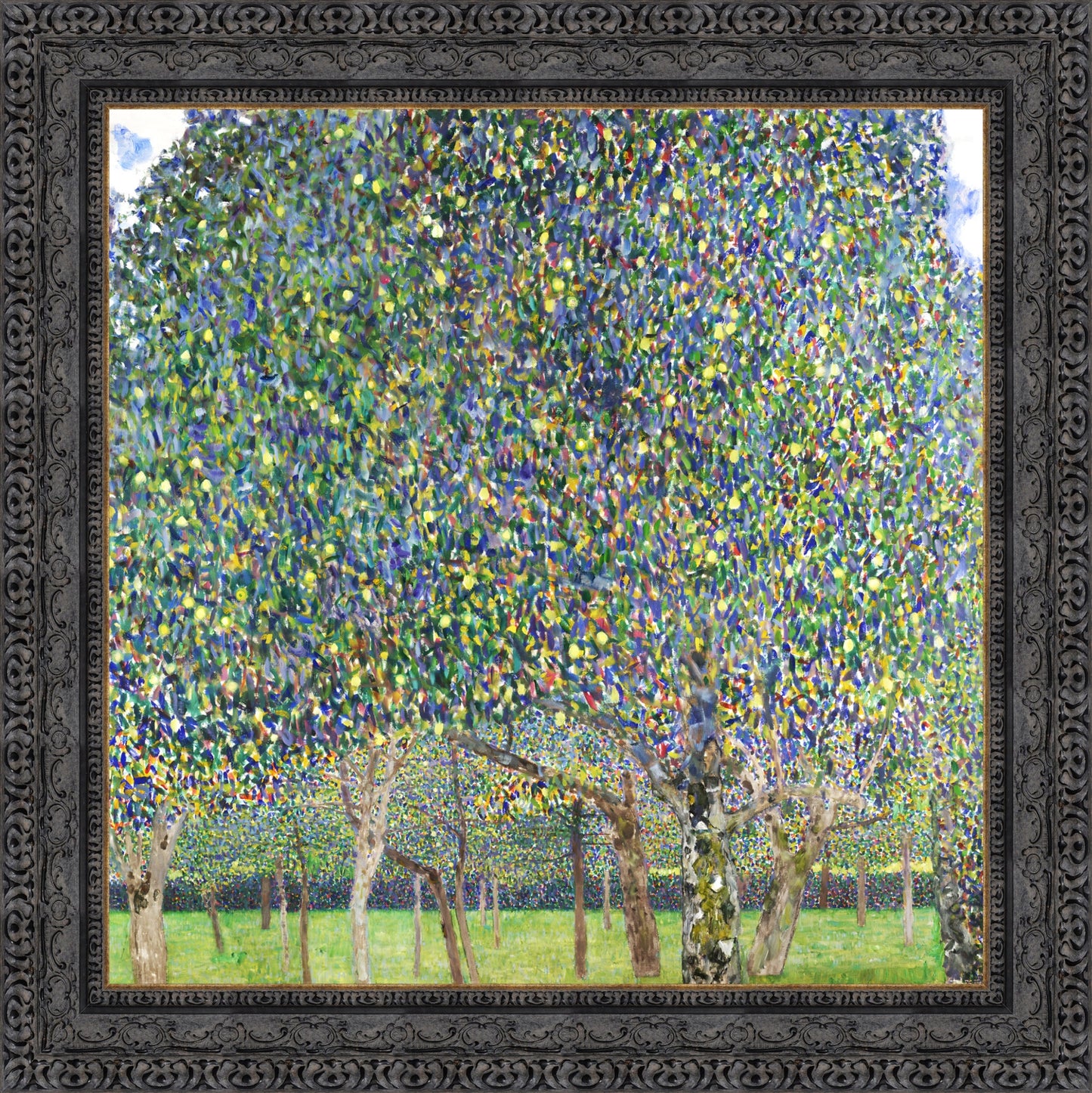 Pear Tree