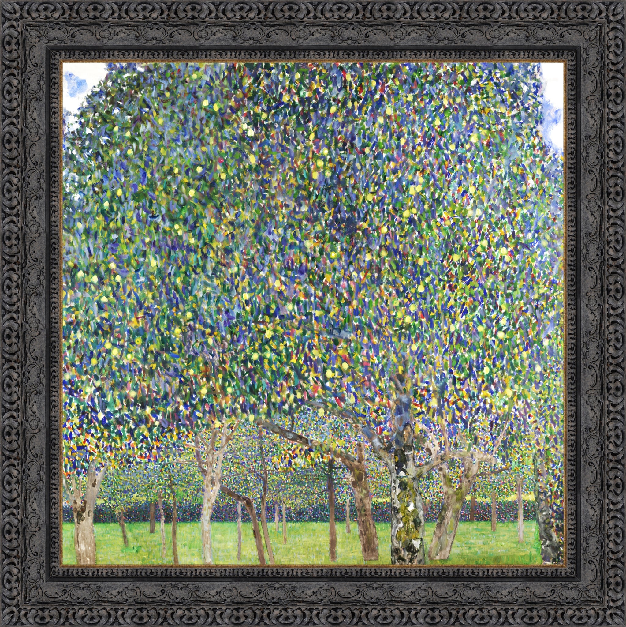 Pear Tree