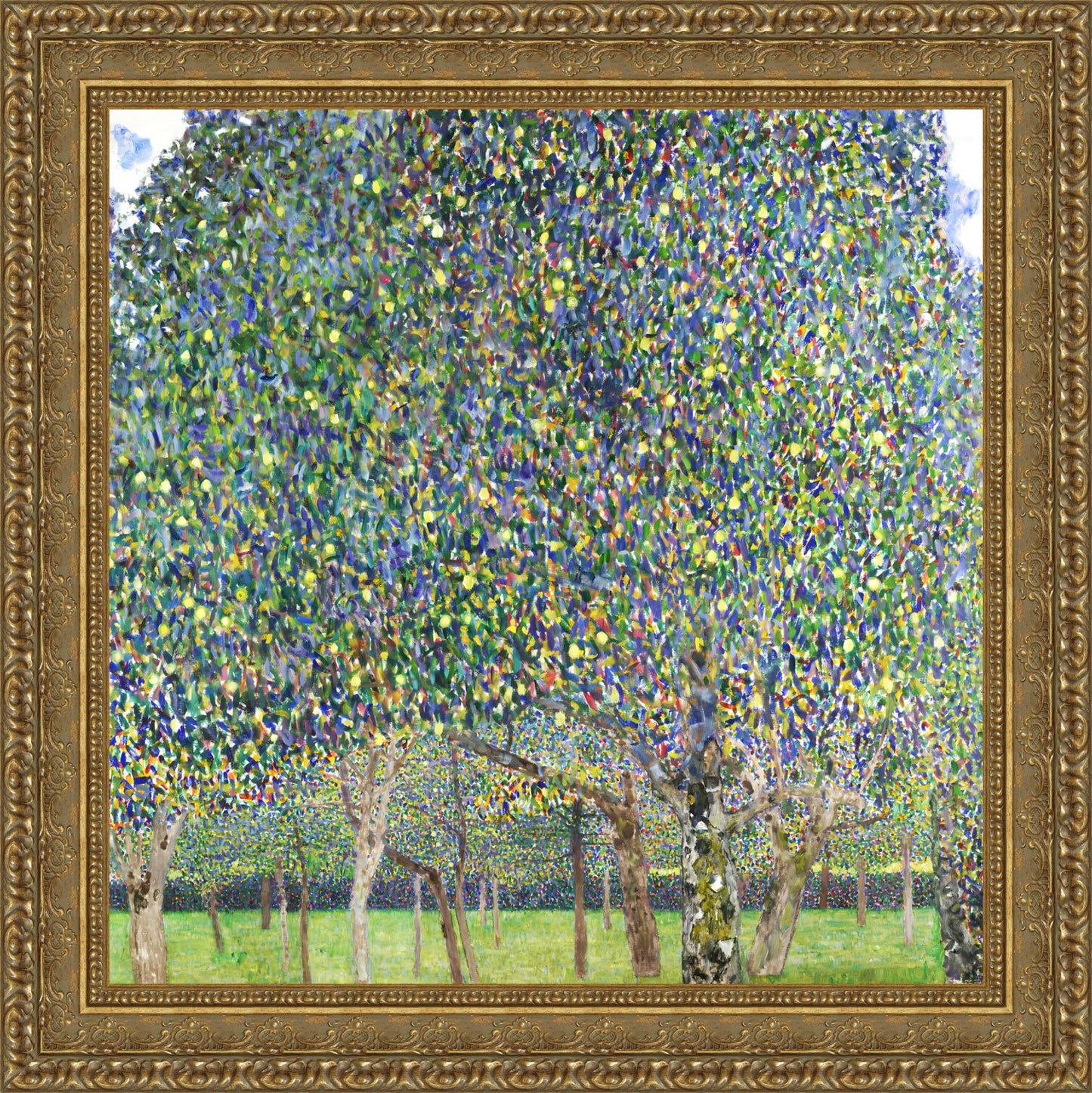 Pear Tree