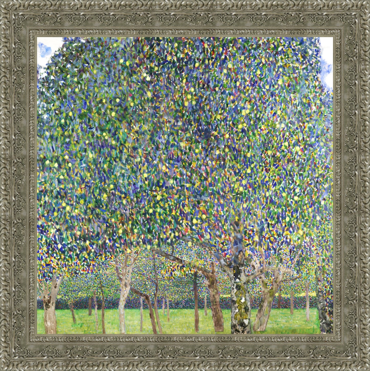 Pear Tree