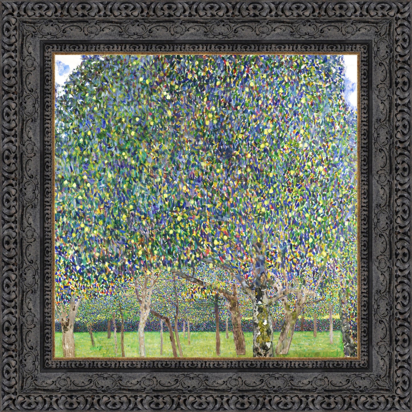 Pear Tree
