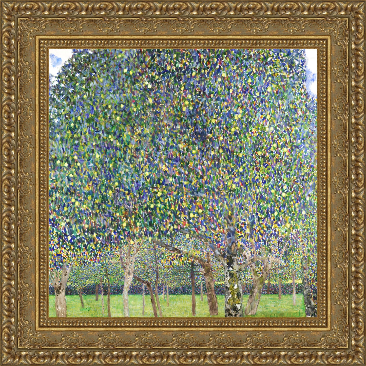Pear Tree