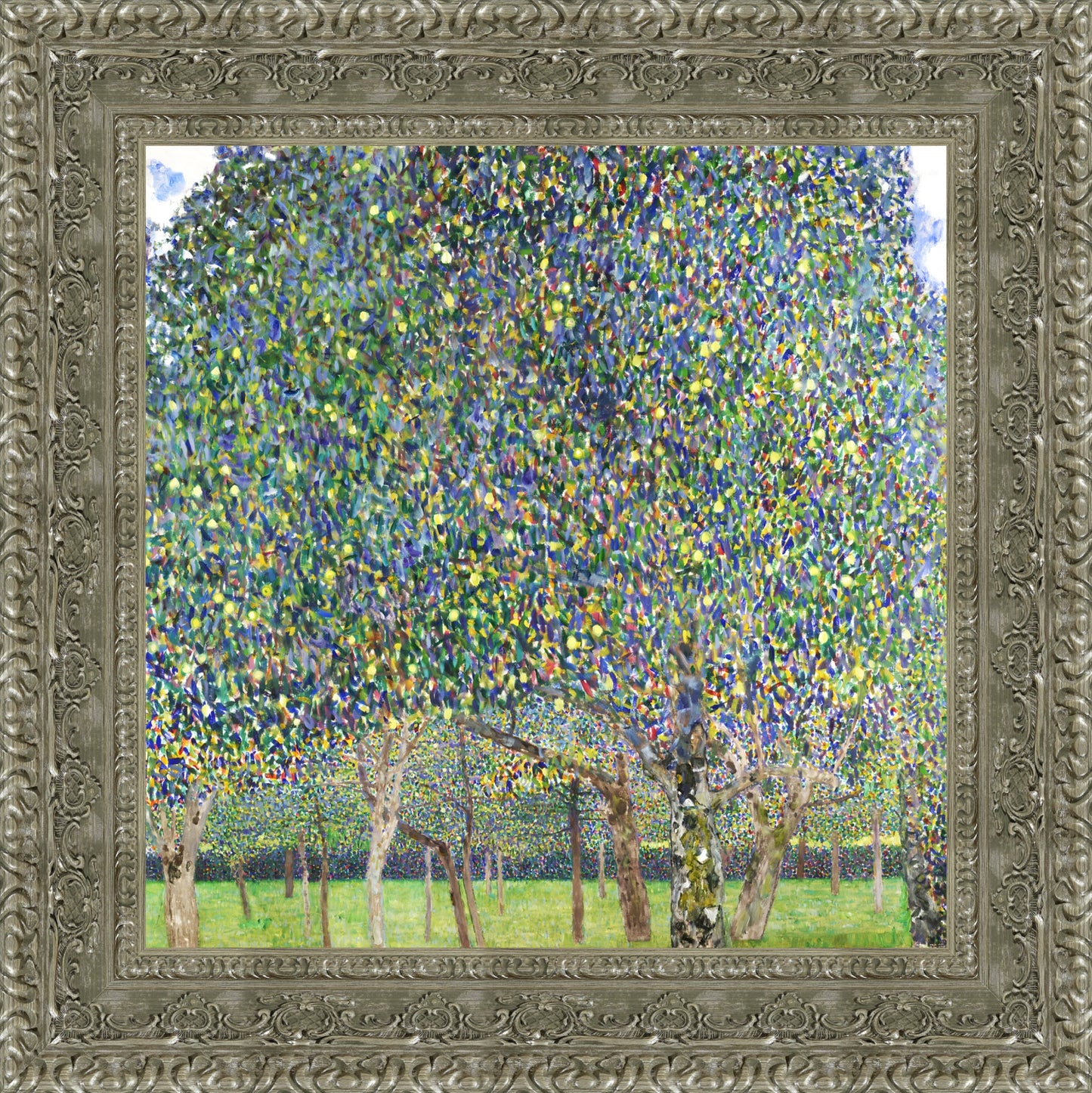 Pear Tree