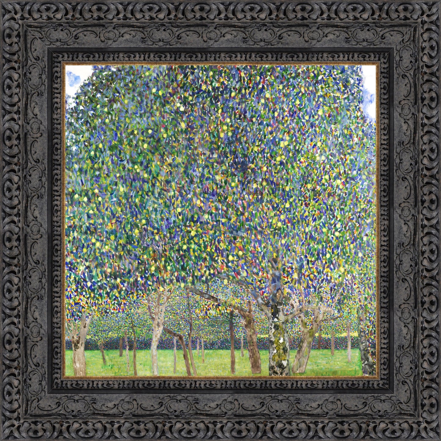 Pear Tree