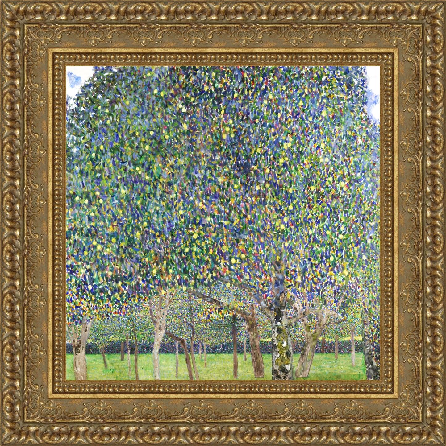 Pear Tree