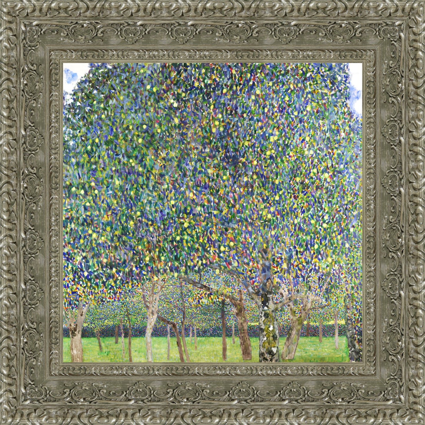 Pear Tree