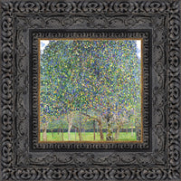 Dark Bronze frame