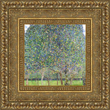 Pear Tree – Gustav Klimt, 1903