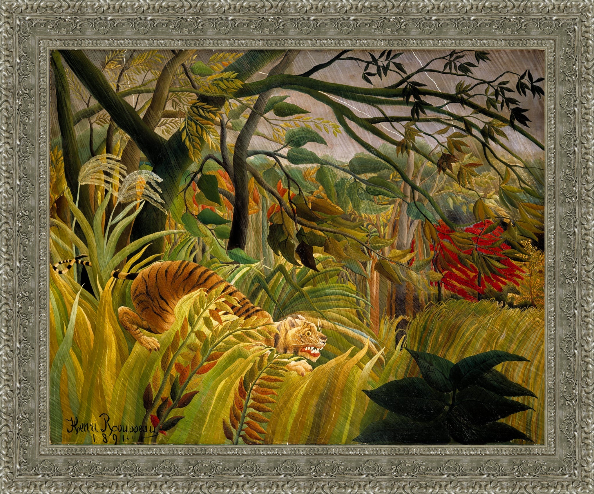 Surprised Tiger in a Tropical Storm