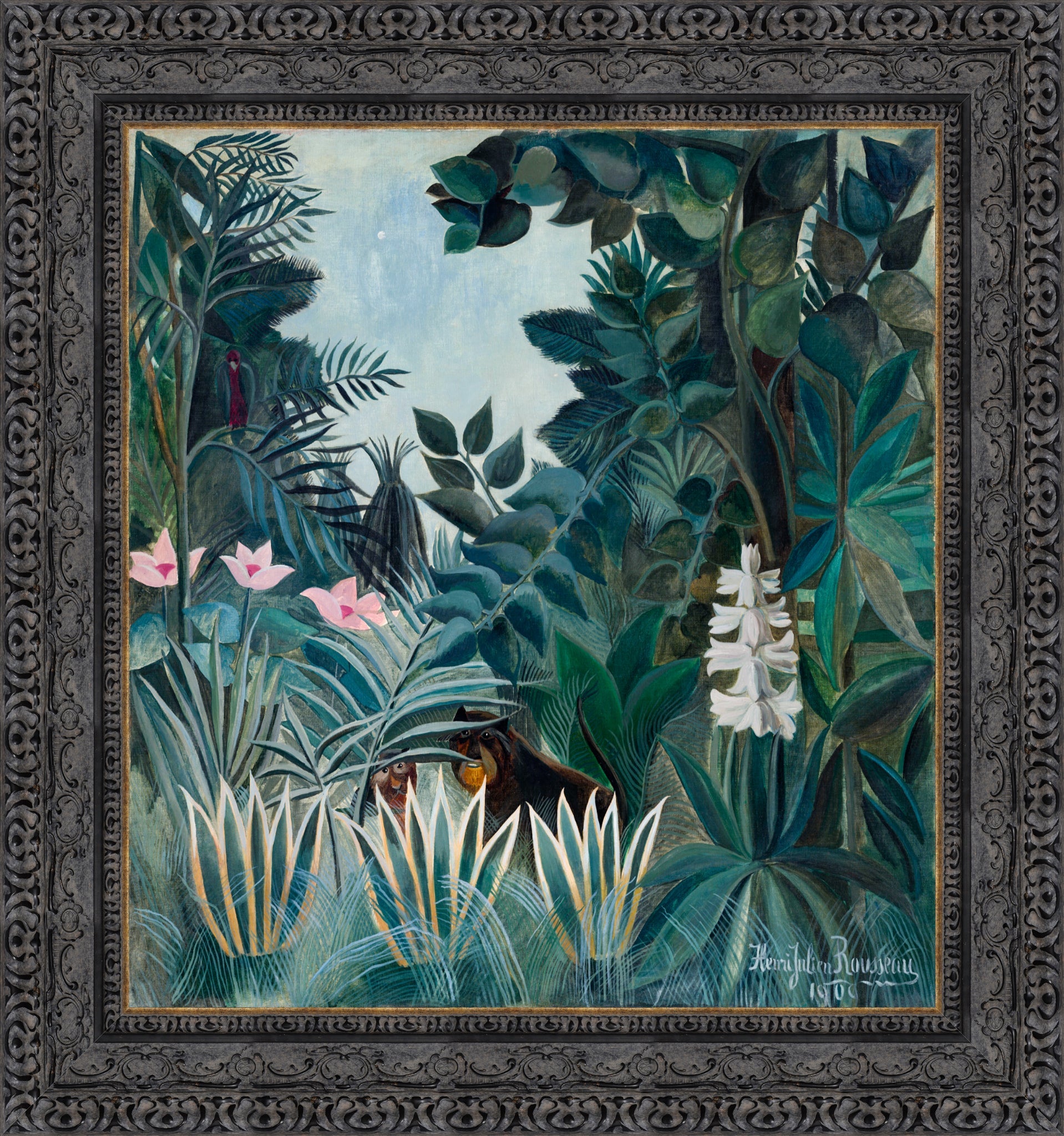 The Equatorial Jungle