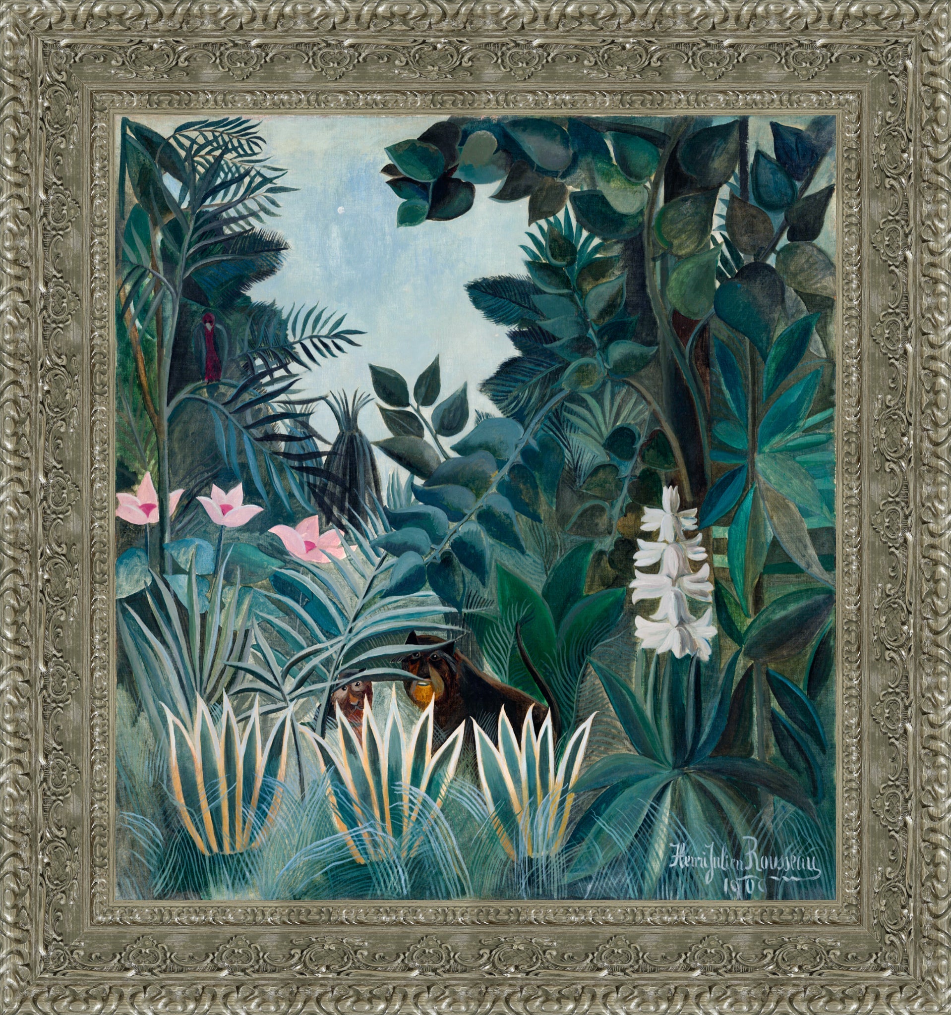 The Equatorial Jungle