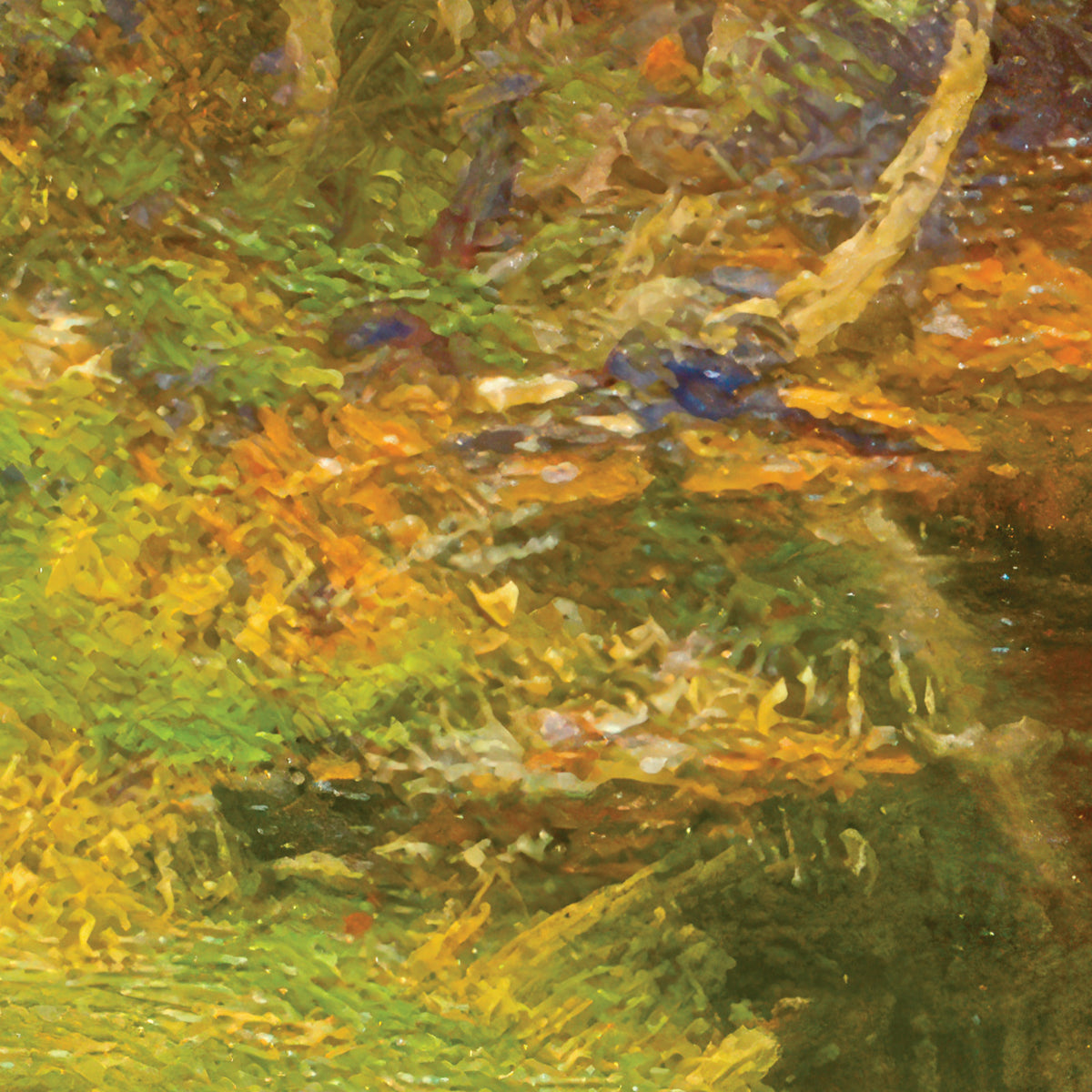 Autumn Trees Along a Stream – Hugh Bolton Jones, 1890, print detail at full resolution
