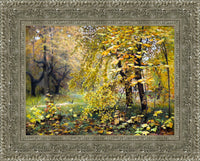 Silver frame