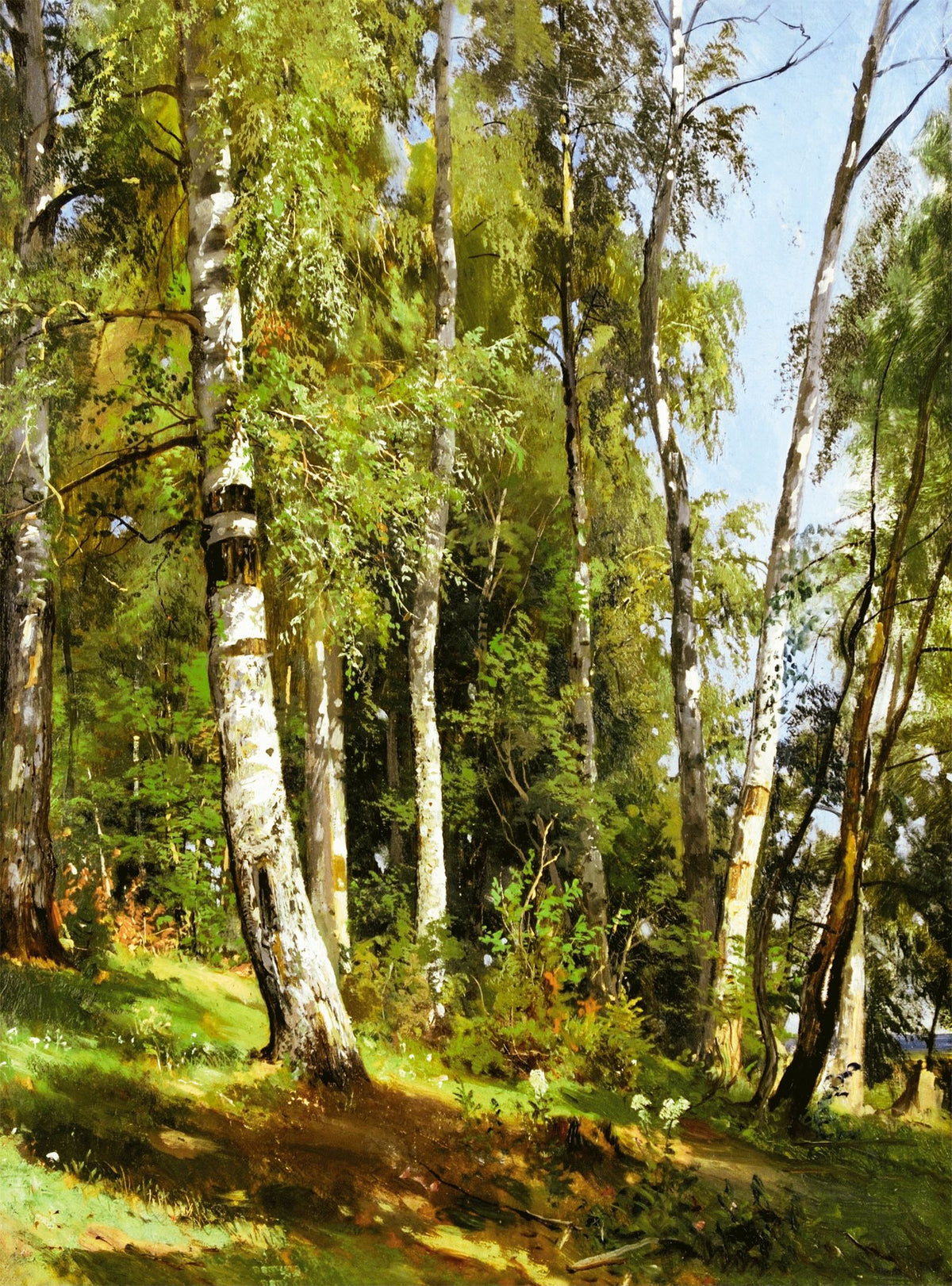 Birchwood – Ivan Shishkin, 1896, framed