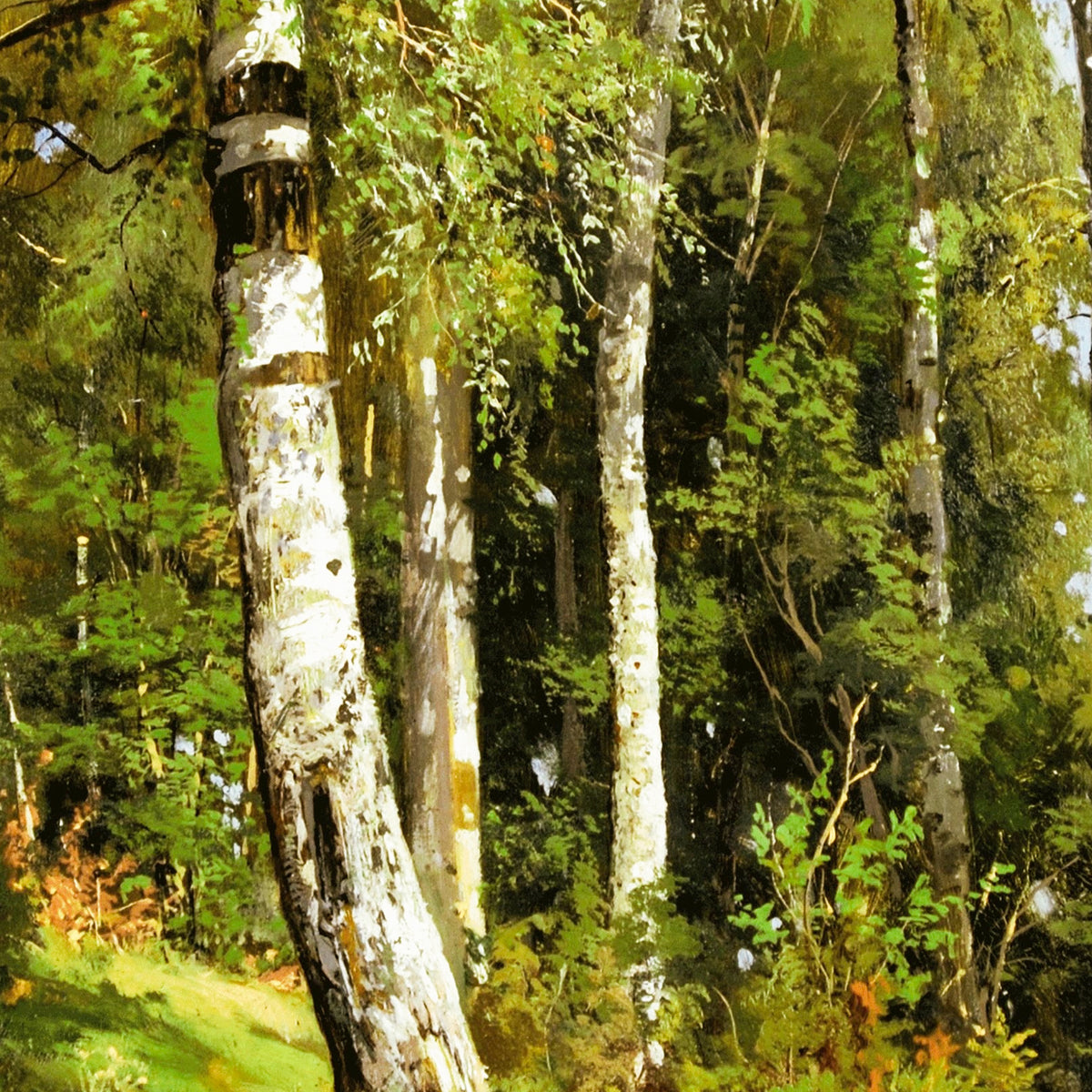 Birchwood – Ivan Shishkin, 1896, print detail at full resolution