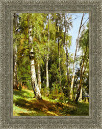 Silver frame