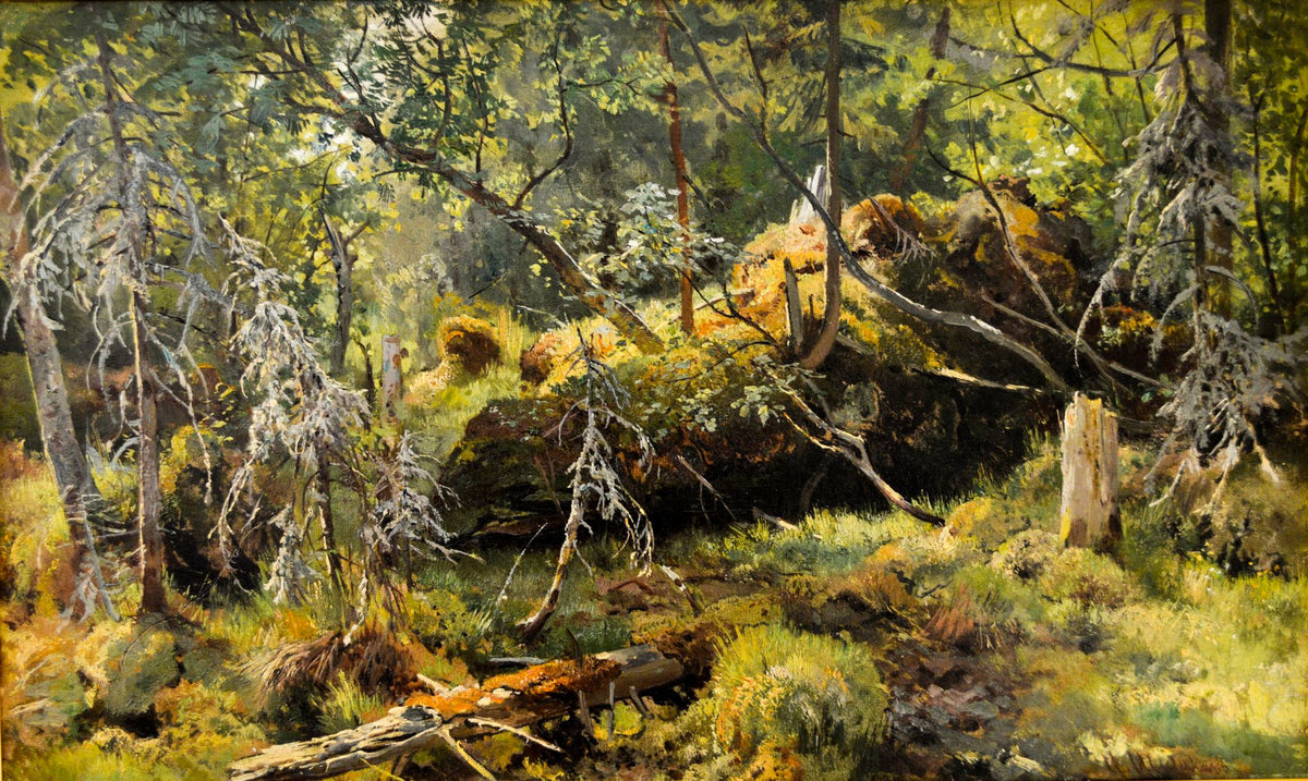 Fallen Tree: A Forest Study – Ivan Shishkin, 1892, framed