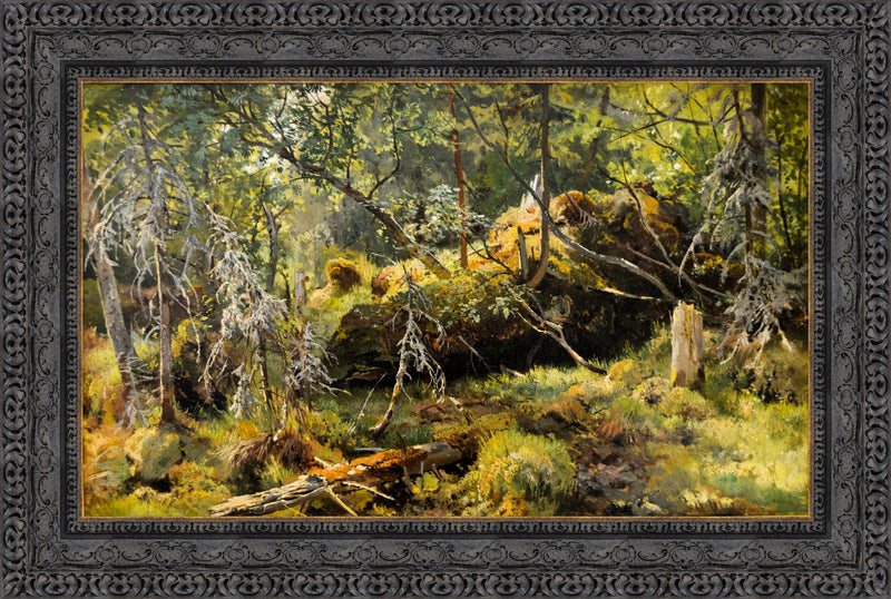 Fallen Tree: A Forest Study – Ivan Shishkin, 1892